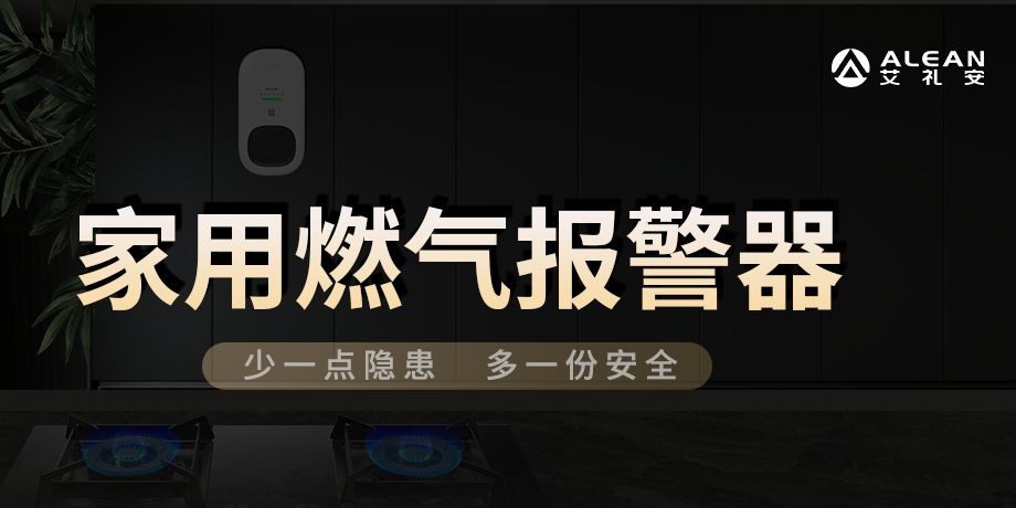 艾禮安家用燃?xì)鈭?bào)警器系列